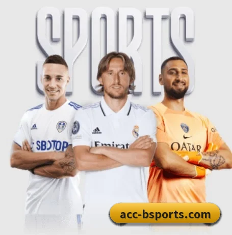 B体育五大内容板块,覆盖赛事直播与实时比分(bsports)
